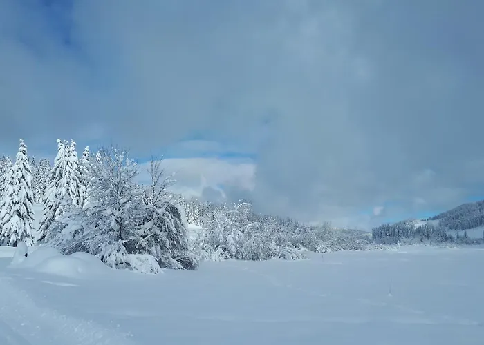 Le Chalet Lamoura Haut-Jura