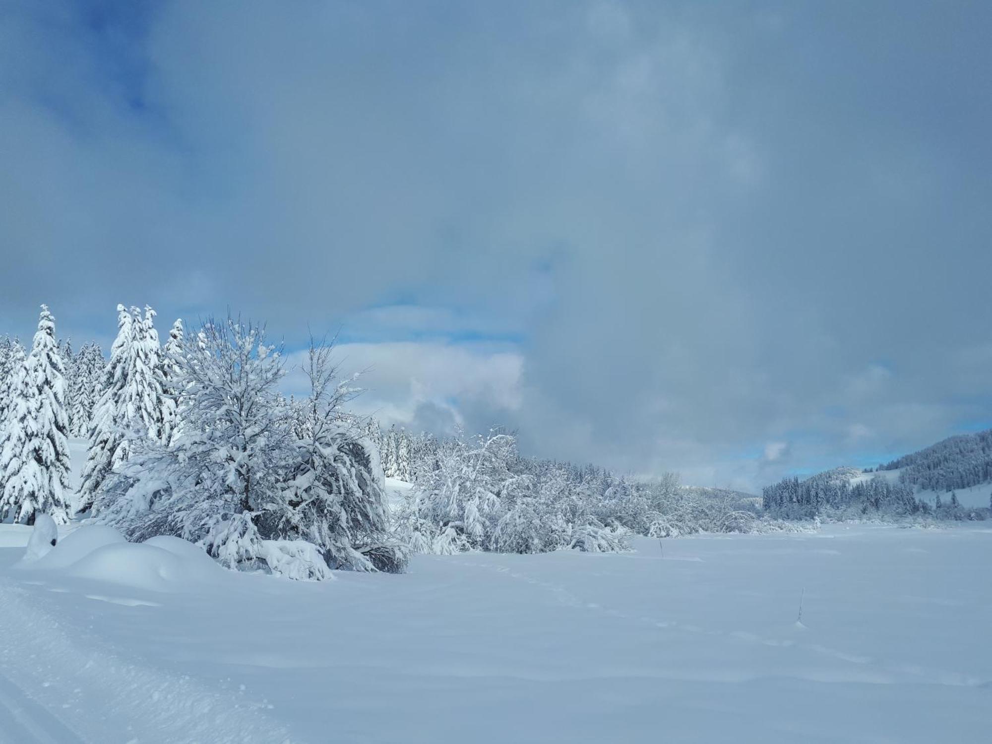 Le Haut-jura